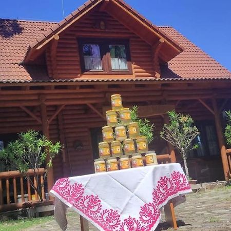 Hotel Dom Árgyélus - Árgyélus ház - Fesztypark Martovce Exterior foto